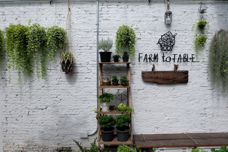 5 ร้านอาหารคลีน