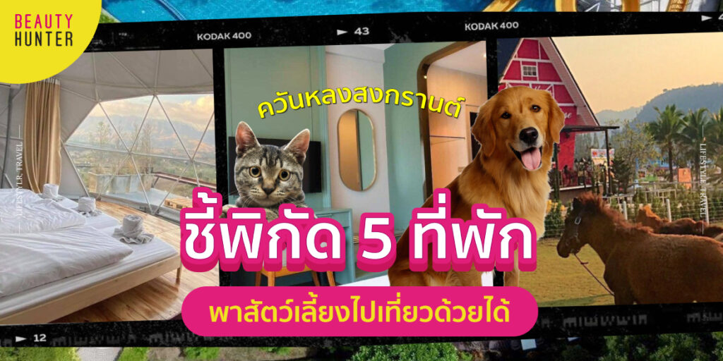 สัตว์เลี้ยง