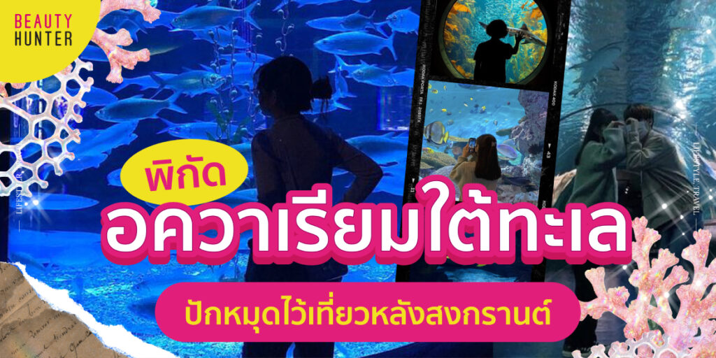 อควาเรียม 2022