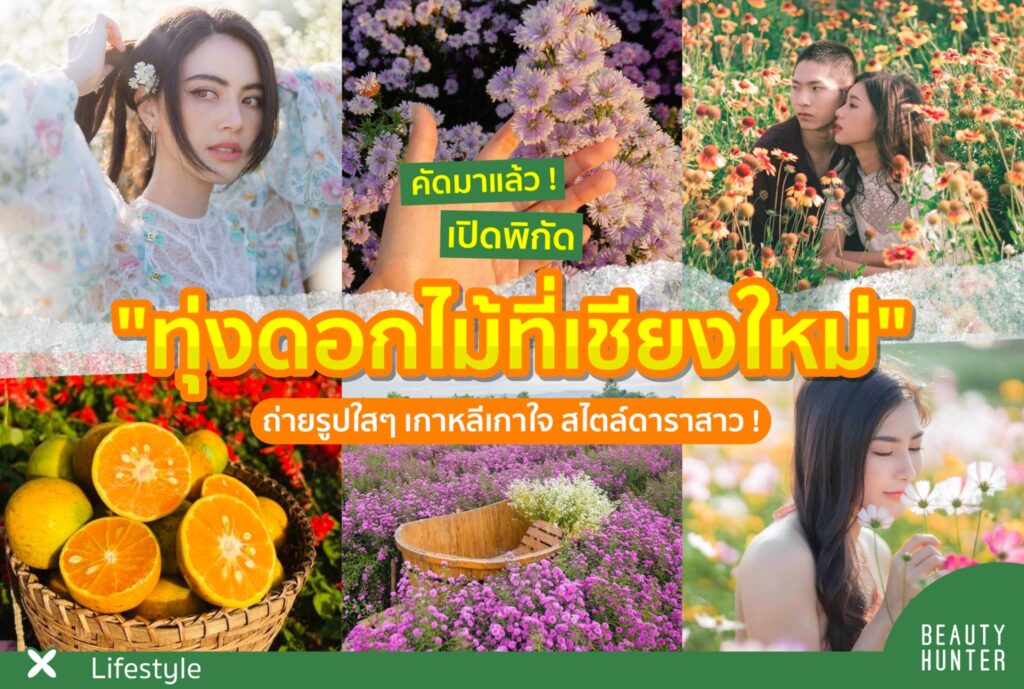 คัดมาแล้ว! เปิดพิกัด “ทุ่งดอกไม้ที่เชียงใหม่” ถ่ายรูปใสๆสไตล์ดาราสาว ! ดอกไม้