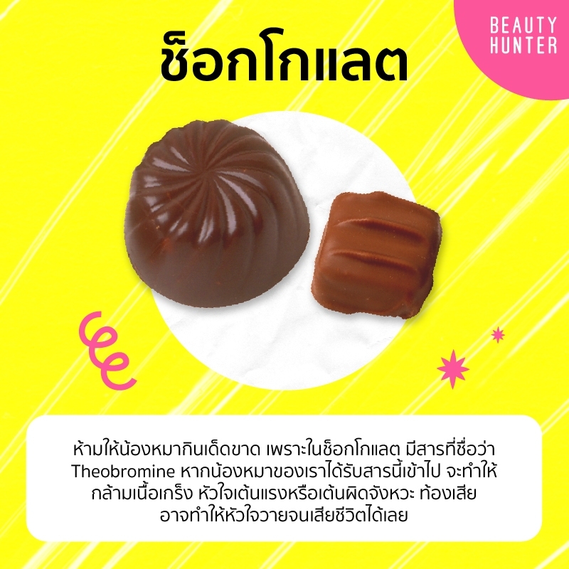 อาหารต้องห้ามของหมา