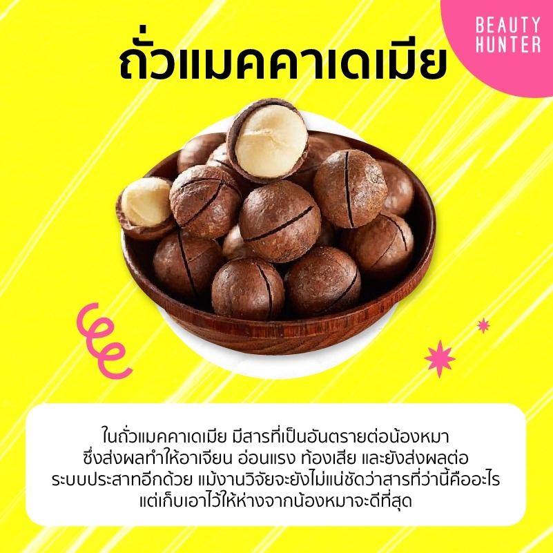 อาหารต้องห้ามของหมา