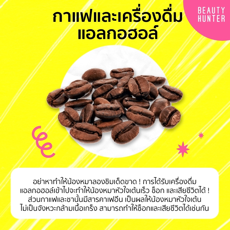 อาหารหมา