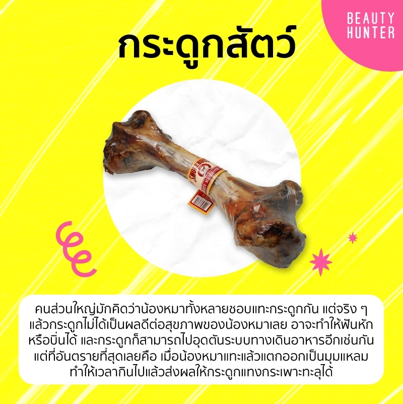 อาหารหมา