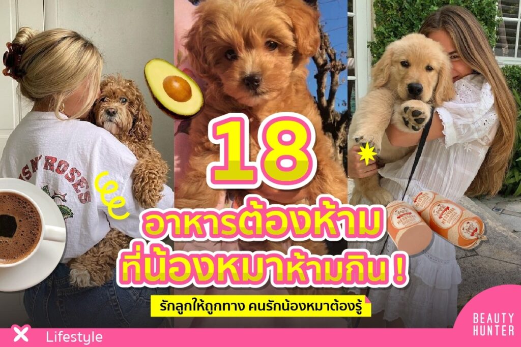 คนรักหมา